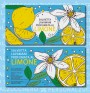 Limone 7x14 cm == Lemon 7x14 cm