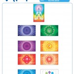 2018 Chakra slim_01