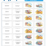 Proverbi Abruzesi