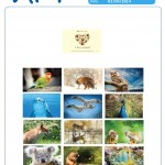 I Love animals